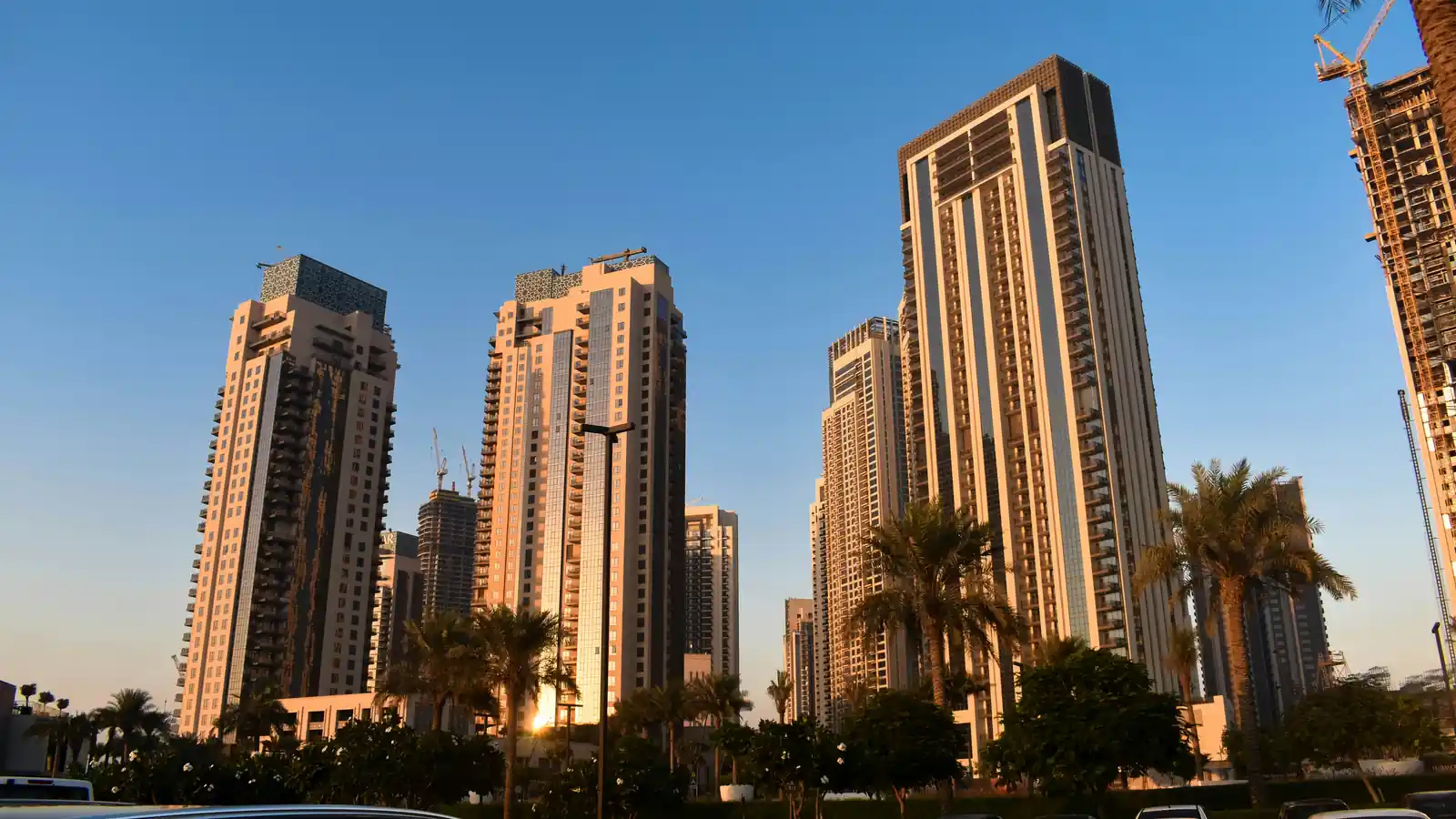 Golden-hour street-level view of Dubai Creek Harbour's residential towers lined with palm trees