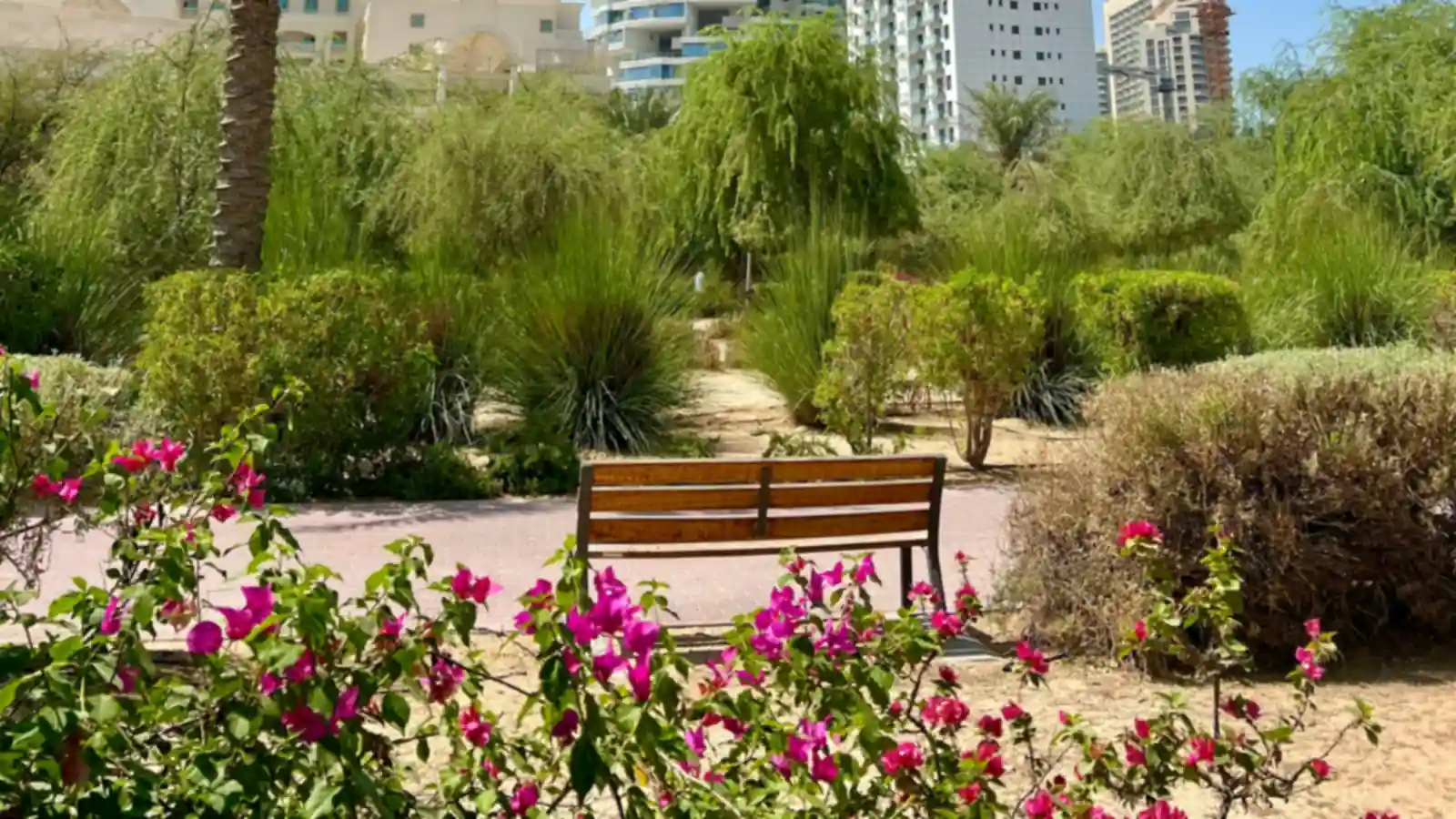 Daytime park path in Jumeirah Village Circle with a bench and flowering shrubs framed by residential towers